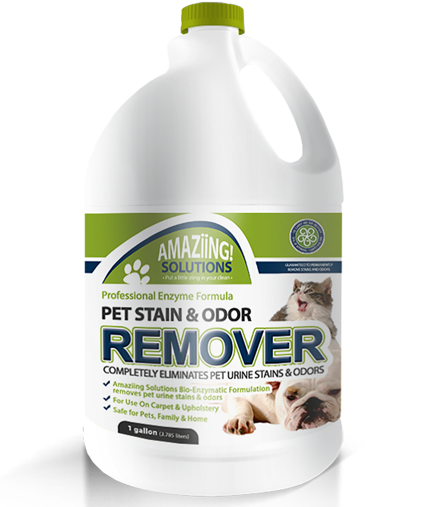 Pet Stain & Odor Remover