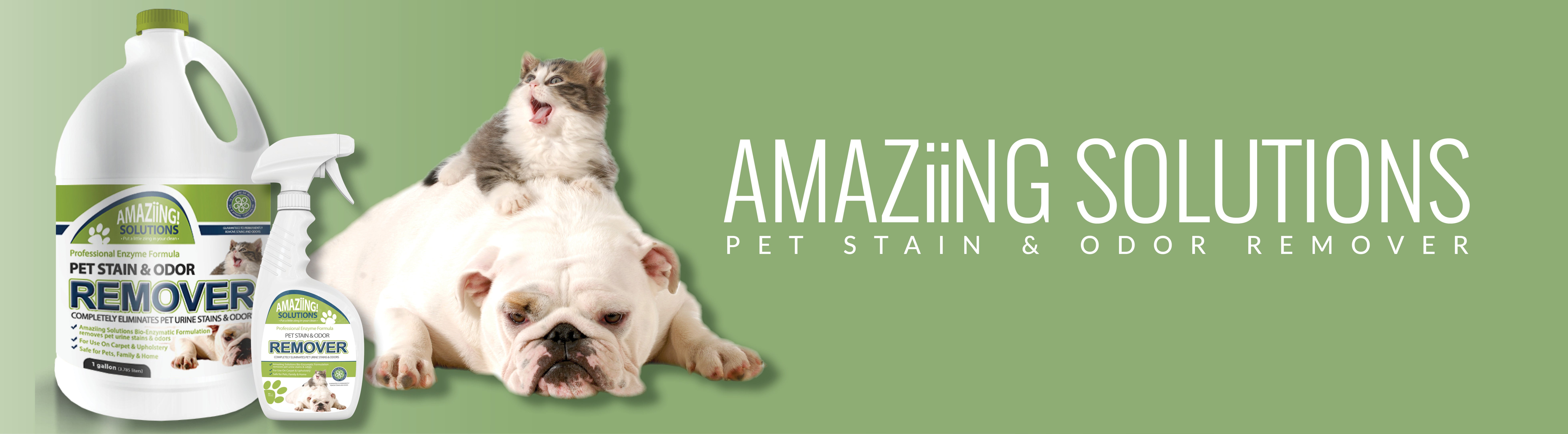 Amaziing Solutions Pet Stain & Odor Remover
